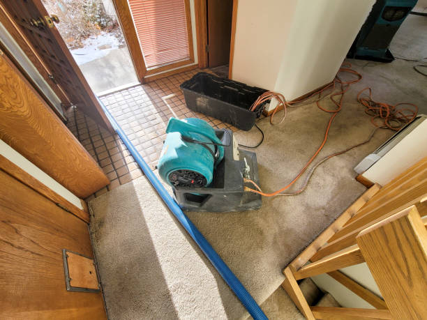 Best Flood damage cleanup  in Warrenton, VA