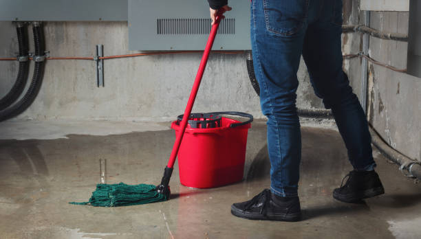 Best Water damage restoration near me  in Warrenton, VA
